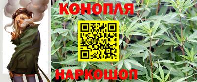 прущие крисы Будённовск