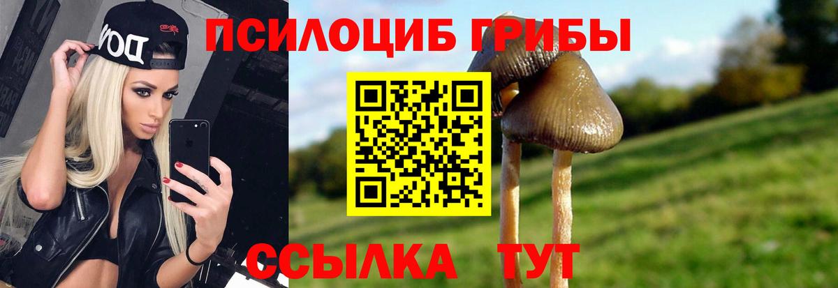 Красный Сулин  Псилоцибиновые грибы Psilocybine cubensis  Вход с VPN 